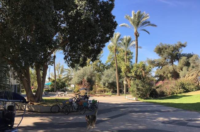 Kibbutz Hatzerim