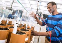 Increasing the water table in agricultural peatland could hold key to reducing UK's greenhouse gas emissions
