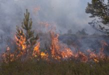 Extreme fires will increasingly be part of our global landscape, researchers predict