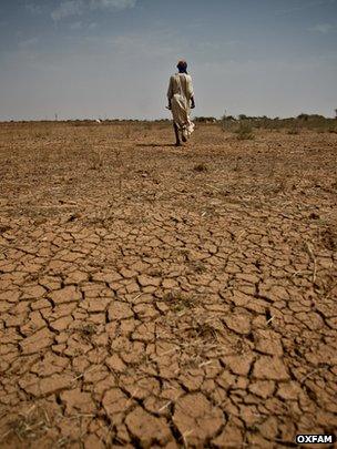 Image result for soil in africa