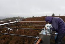 Future climate change will affect plants and soil differently