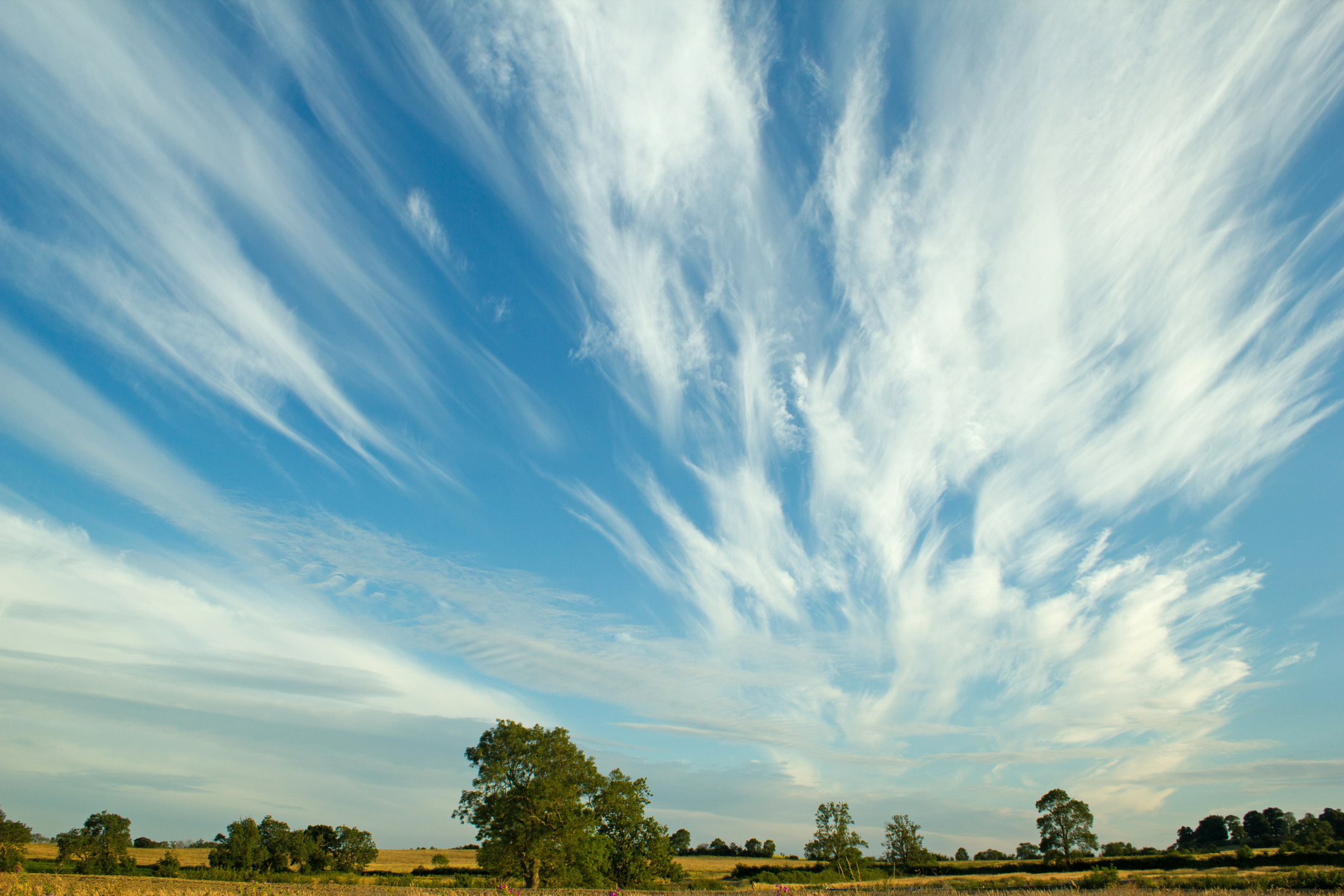 White cirrus clouds in a blue sky over farmland in Northamptonshire