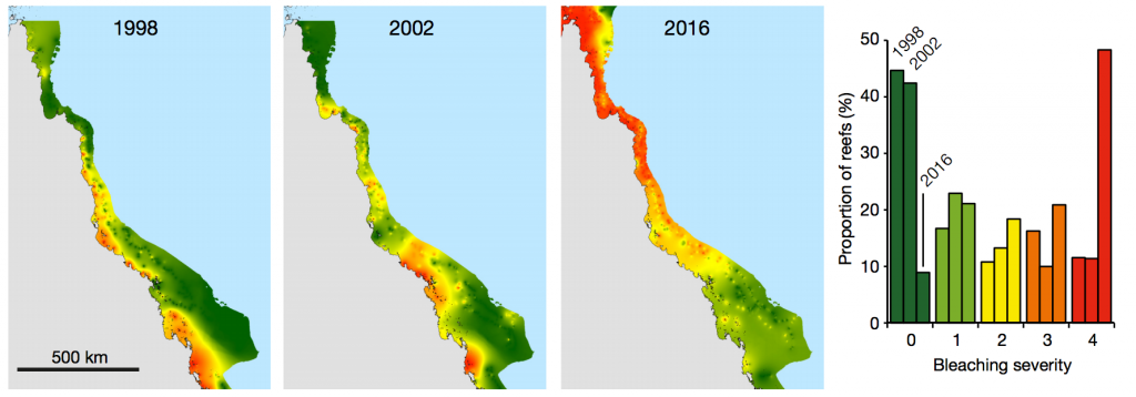 Extent and severity of coral bleaching across the Great Barrier Reef. Maps show bleaching for 1998 (left-hand map), 2002 (middle and 2016 (right), measured from aerial surveys. The shading indicates the severity of bleaching, from dark green (60%). The chart on the right summarises these proportions. Source: Hughes et al. (2017) 
