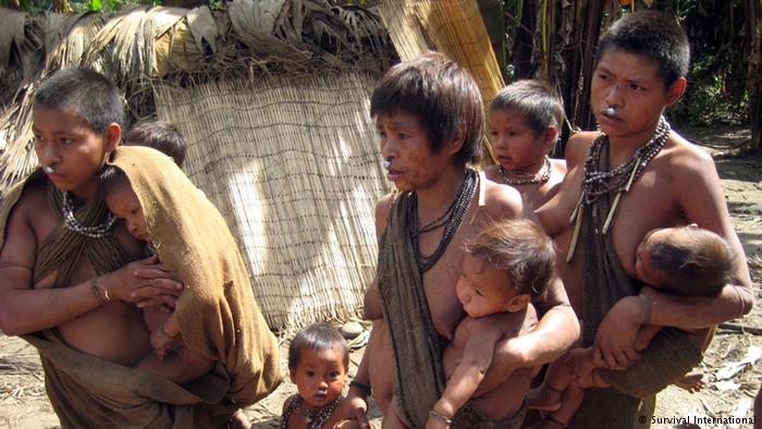 The Nanti community lives in volontary isolation in the Peruvian Amazon Indigenous Nanti family (Survival International)
