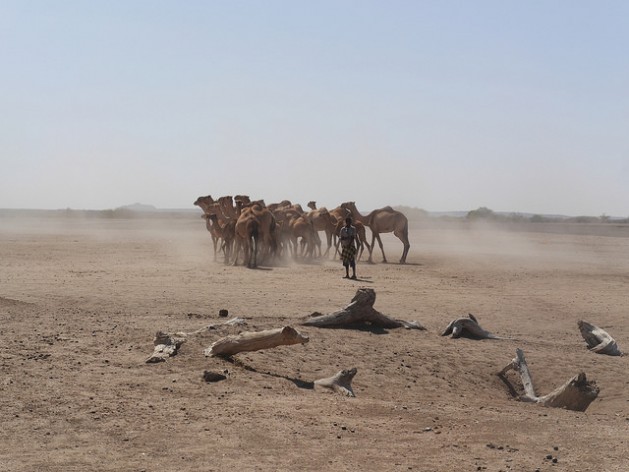 A project to help Ethiopian farmers adapt to drought and climate change was rejected for funding from the Green Climate Fund. Credit: William Lloyd-George/IPS