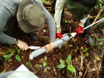 University of St Andrews ecologists collect peat samples from the Pastaza-Marañón swamp in the Peruvian Amazon.