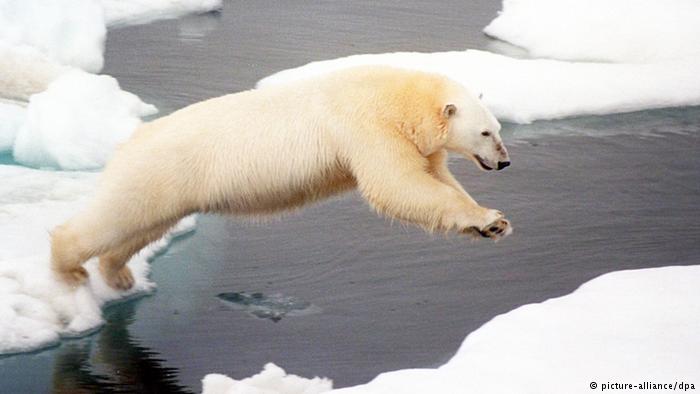 Galerie - Der Klimawandel und seine Folgen Galerie - Der Klimawandel und seine Folgen