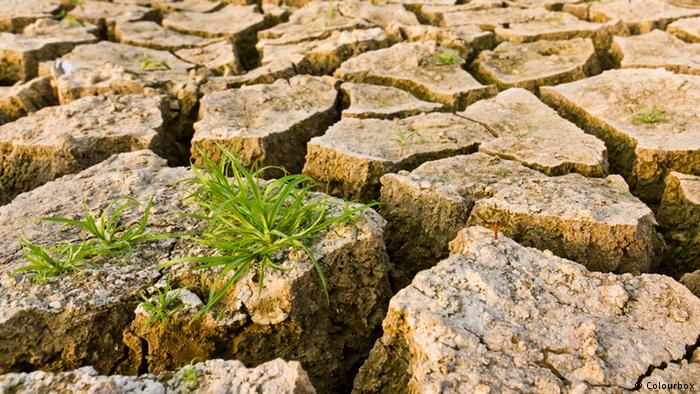 D&uuml;rre trockene Erde Gras Klimawandel (Colourbox)