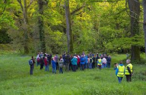 17523318_10156030338031982_3957969653161098473_n