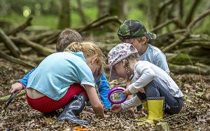 Forest-school-7_3520775b