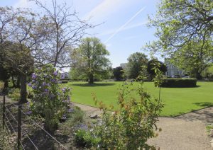 JPG National bioday belgray 2017 flyer (Autosaved)-2