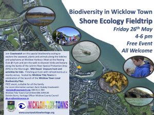 WicklowTownCoastwatchBiodiversityEvent_26May2017