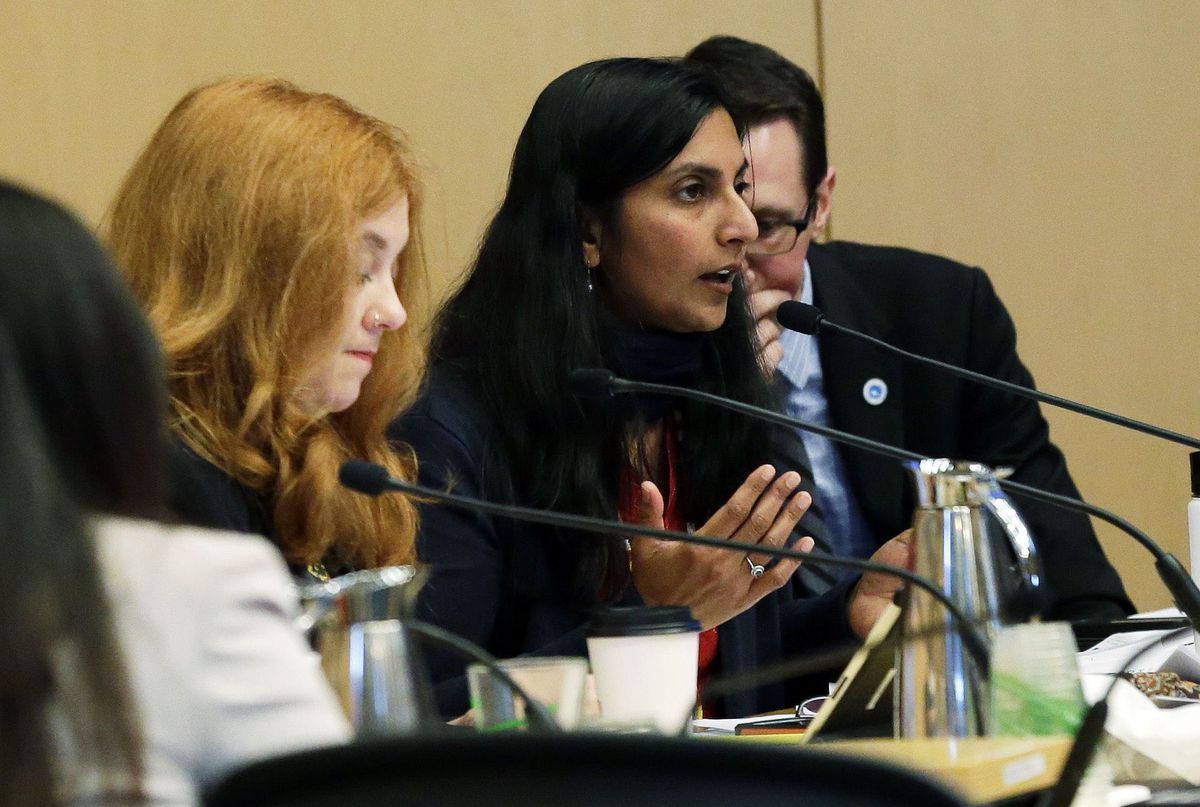 City Council member Kshama Sawant, center, speaks in favor of Wells Fargo divestment &nbsp;during a committee meeting on Feb. 1, 2017.