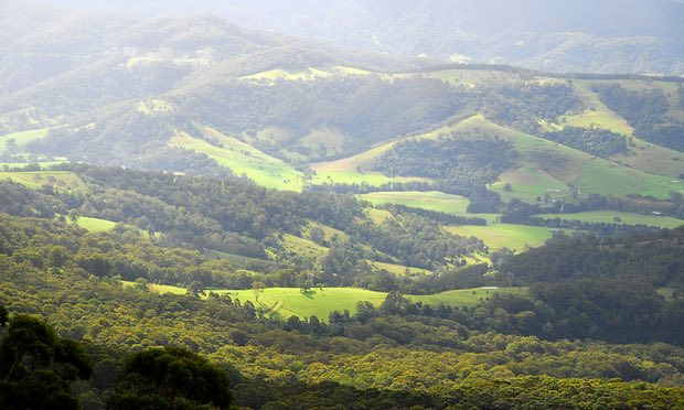 Forests