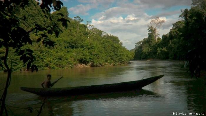A canoe on a lake in the Ecuadorian rainforest