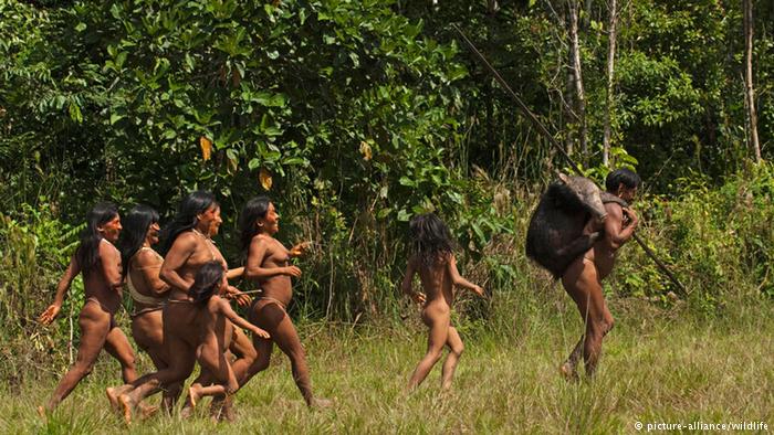 Indigenous people in Ecuador Yasuni National Park (picture-alliance/wildlife)