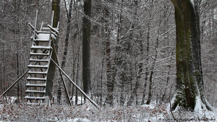 schneebedeckter J&auml;gerhochsitz Spessart Deutschland 