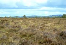 Soil: Standing on a Solution to Climate Change