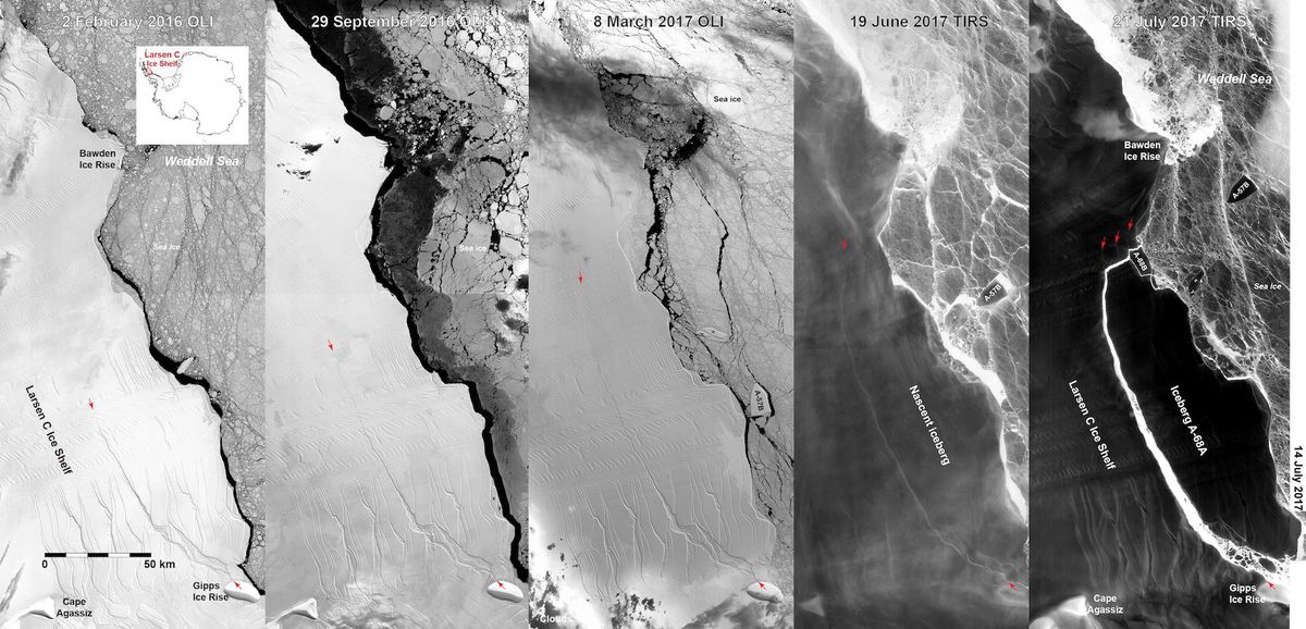 Series of satellite images showing the breakup of the Larsen C iceberg and forming of new cracks and rifts in its wake.