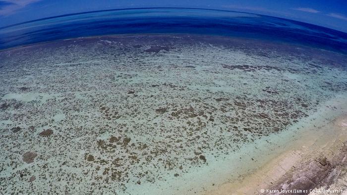 Heron Island Riff Heron Island Riff
