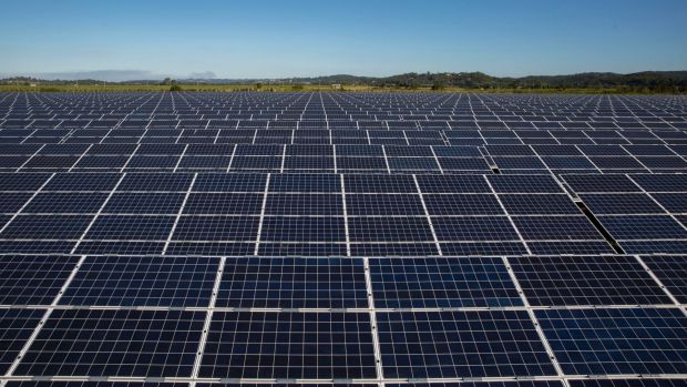 Renewable energy is having a bumper year - despite the political uncertainties.