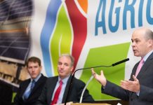 Ireland’s solar industry: From a bang to a whimper