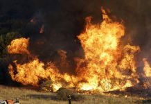 Summer on steroids: Fires, devilish heat waves, and floods.