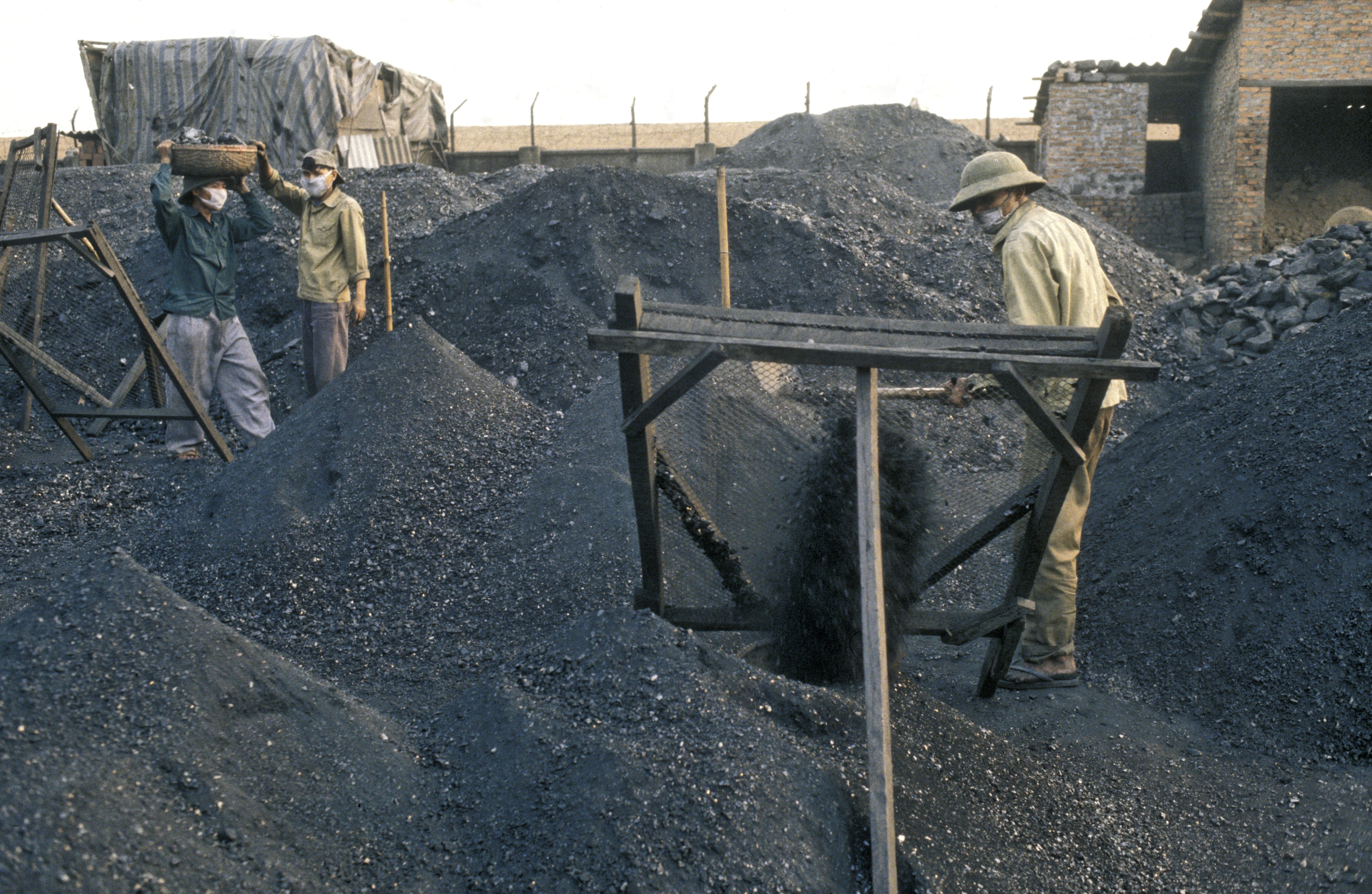 Sort ore mine coal Hon gai Vietnam.Biosphoto / Jean-Fran&ccedil;ois Mutzig