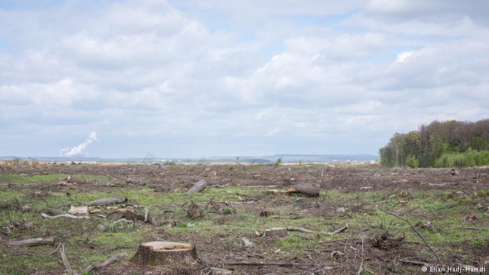 The result of RWE's latest clearing campaign in Hambach, Germany The result of RWE’s latest clearing campaign, Germany (Elian Hadj-Hamdi)