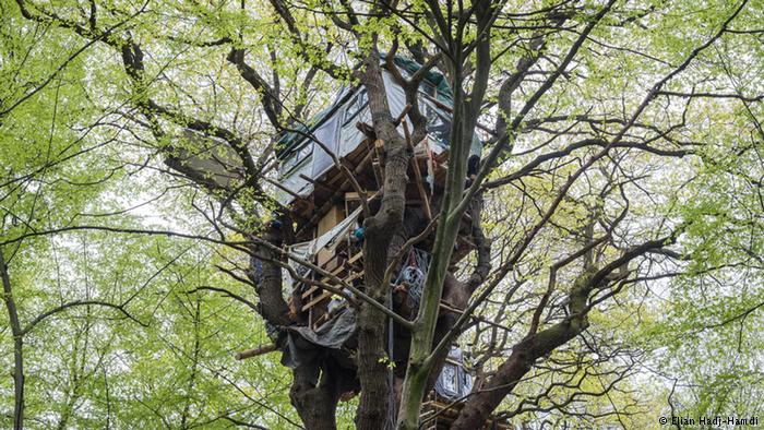 Environmental activists occupy parts of the Hambach forest, Germany (Elian Hadj-Hamdi)