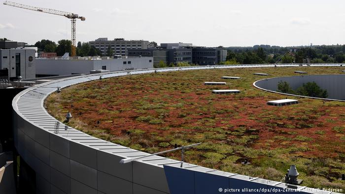 Deutschland Umgang mit Regenwasser am WISTA Adlershof (picture alliance/dpa/dpa-Zentralbild/ZB/B. Pedersen)