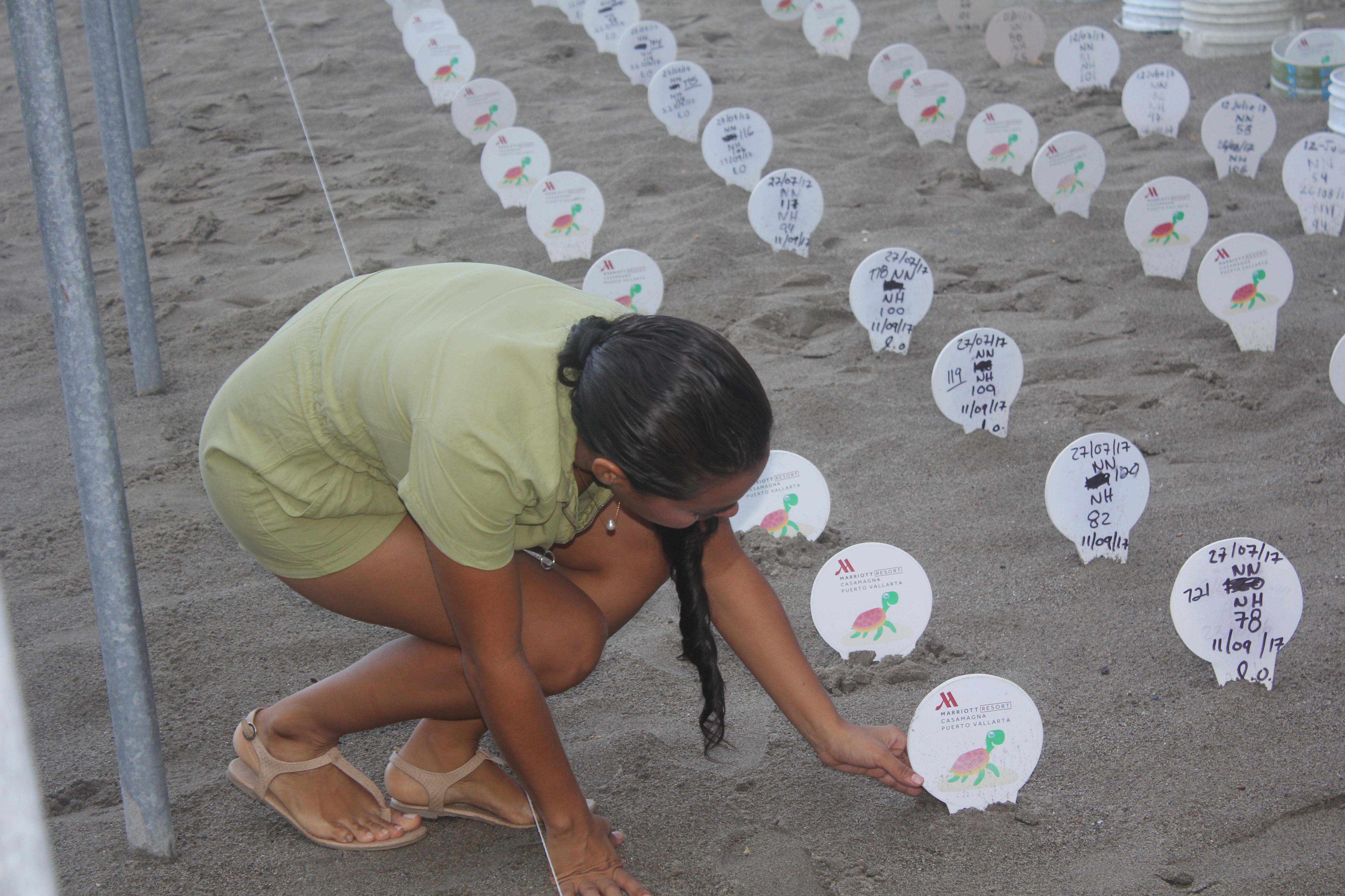 Una joven cuida nidos de tortuga en Puerto Vallarta.