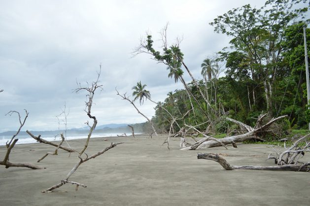 Puerto Vargas beach, in the province of Lim&oacute;n, in Costa Rica&rsquo;s Southern Caribbean region. The area is highly vulnerable to coastal erosion and dozens of metres of beach have been lost in the past few years. Credit: Diego Arguedas Ortiz/IPS