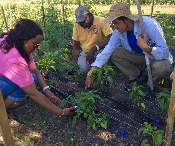 Justin Myers gives visiting farmers a hands-on tour of Hope Farms. (Photo &copy; Recipe for Success Foundation.)
