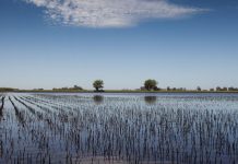 Climate change could dampen Argentina’s recovery.