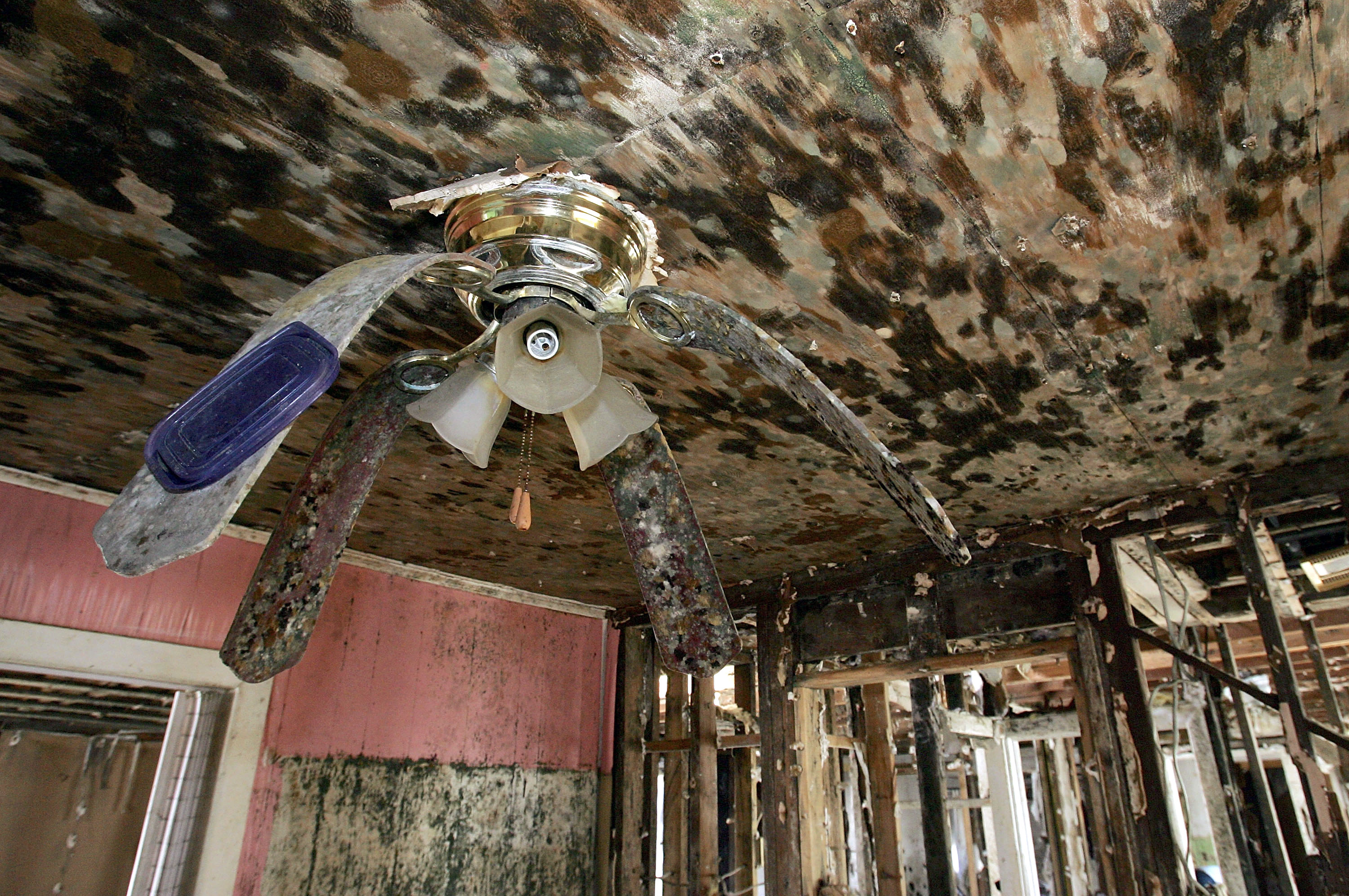 A Devastated New Orleans Copes With Holiday Season