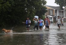 Flesh-eating bacteria, cancer-causing chemicals, and mold: Harvey and Irma's lingering health threats.