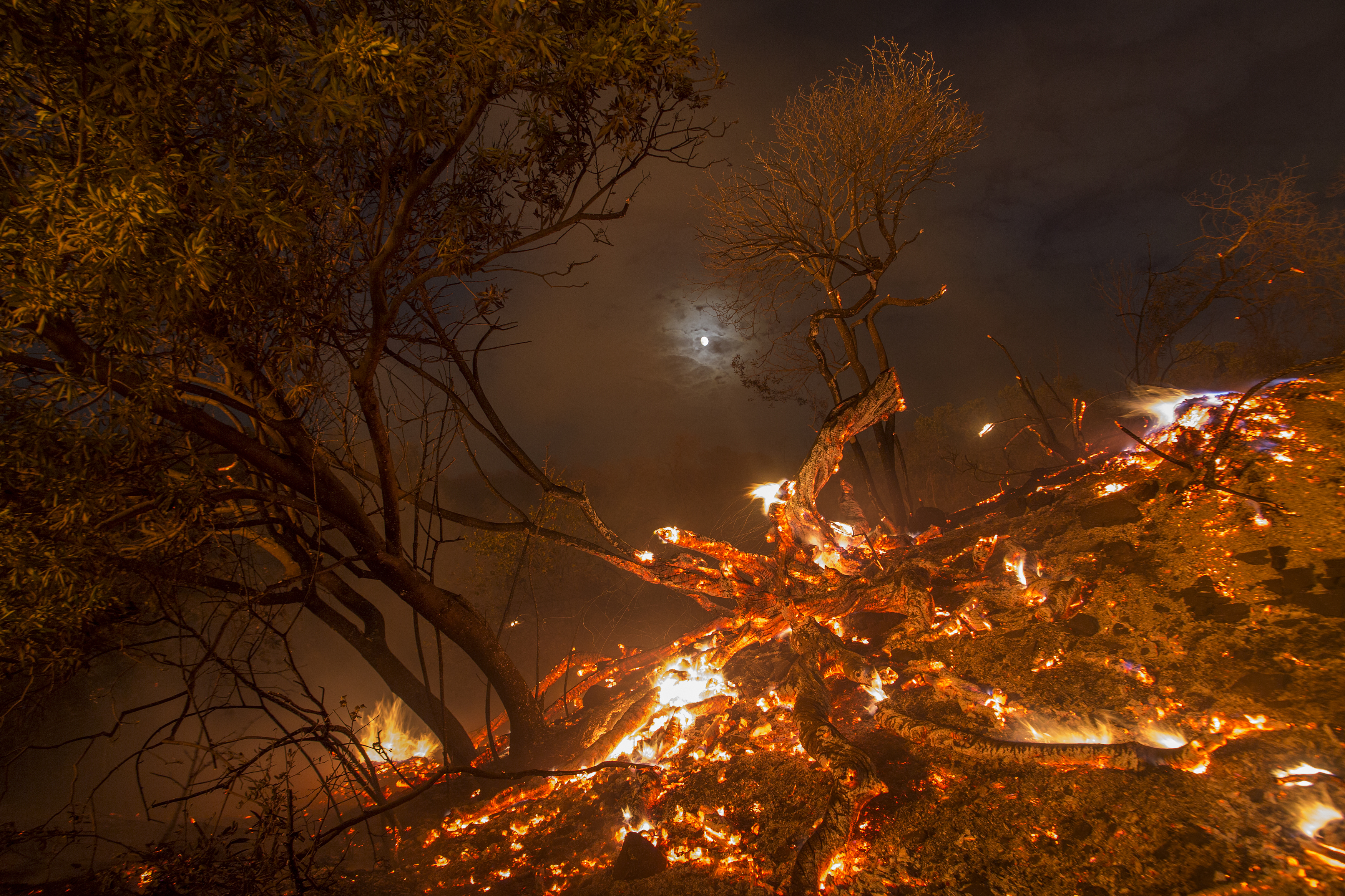 La Tuna Canyon Fire Prompts Evacuations in Burbank