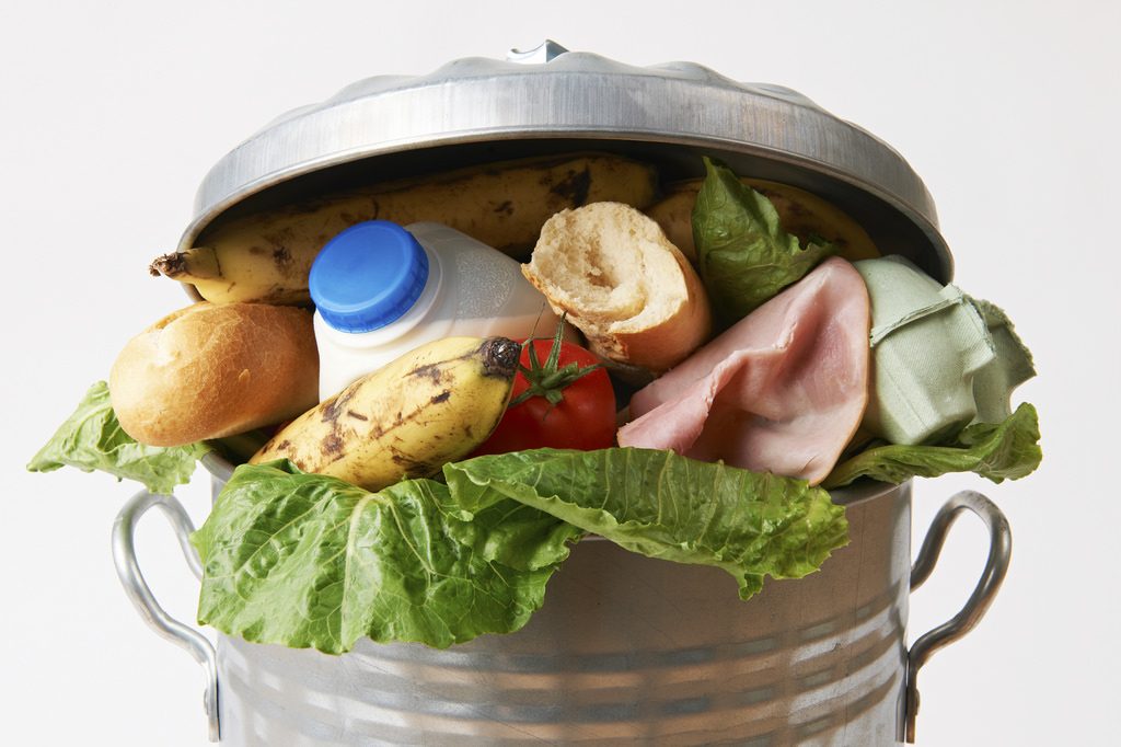 Fresh Food In Garbage Can To Illustrate Waste Photo: USDA