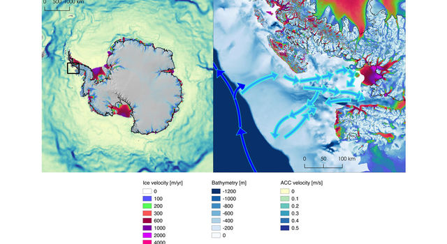 slide 2 - Left, location of Marguerite Bay in Antarctica (box) and deep currents around the continent, with darker colors showing faster water.