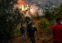 Europe's hot, fiery summer linked to global warming, study shows.