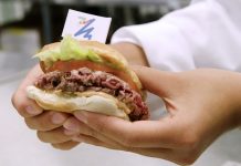 The impossible burger: Inside the strange science of the fake meat that 'bleeds.'