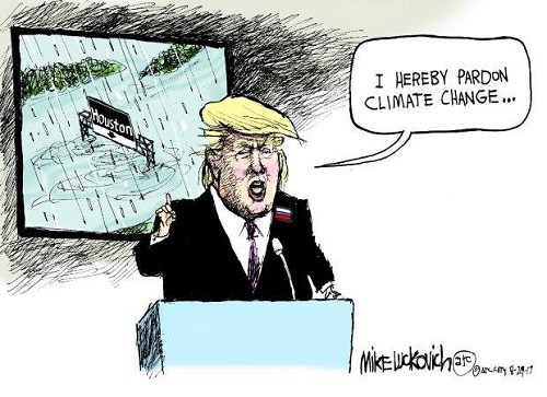 2017 Toon 35