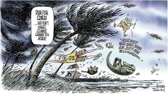 2017 Toon 37