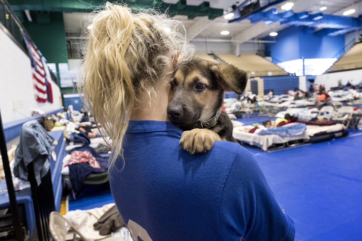 Tesa Rutherford, 21, and her fianc&eacute; Brandon Olivarez, 22 recently moved to Rockport, where they lost everything to Hurricane Harvey. When they went to check on their property, they found a puppy, rescued him and named him Harvey. They took shelter at the Wilhemina Delco Center emergency hurricane shelter in Austin, Texas on Tuesday, August 29, 2017.