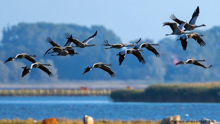 Herbst in Deutschland Zingst Mecklenburg-Vorpommern