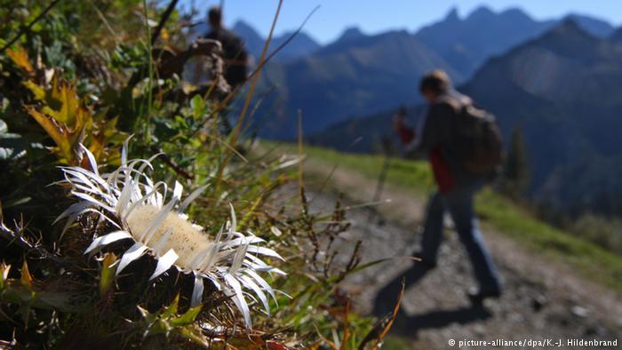 Herbst in Deutschland Fellhorn 