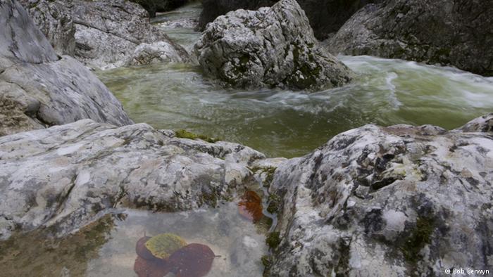 Photo: River in the Alps (Source: Bob Berwyn) 