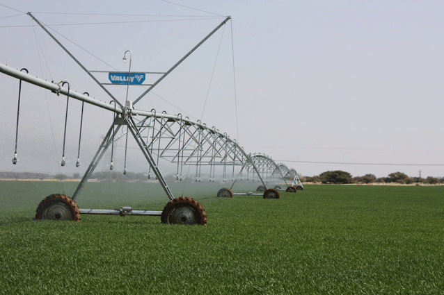 Climate-smart agriculture includes practices that increase productivity in a sustainable manner and support farmers' adaptation to climate change 