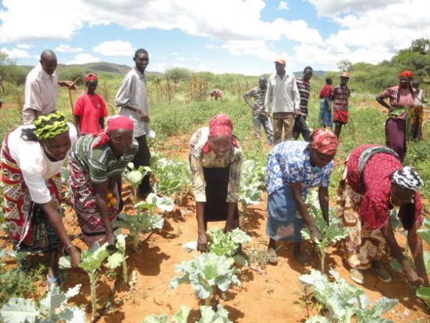 Climate-smart agriculture includes practices that increase productivity in a sustainable manner and support farmers' adaptation to climate change